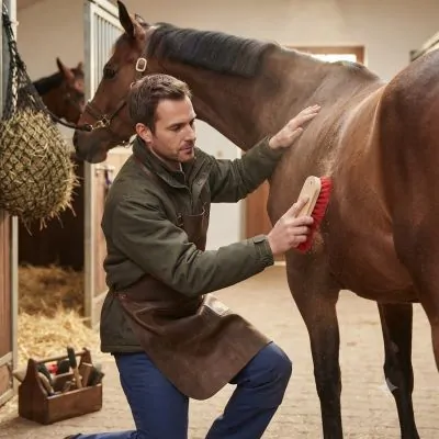 Farm & Veterinary: Timar Fircasi Sert