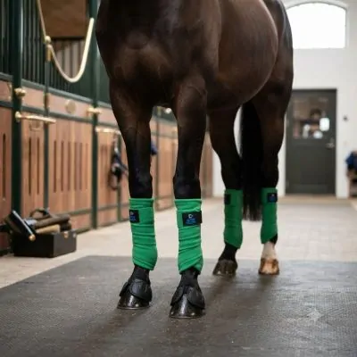 İthal Polar Bandaj (4 ayak) Equine