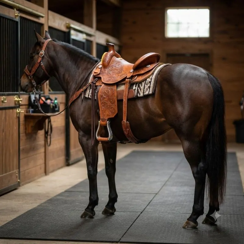Western Saddle