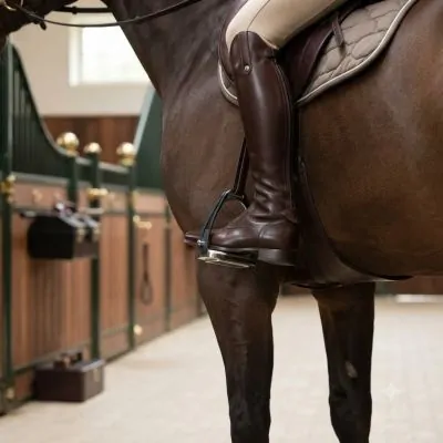 Farm & Veterinary: Tavus kusu Stirrup (1 Cift)