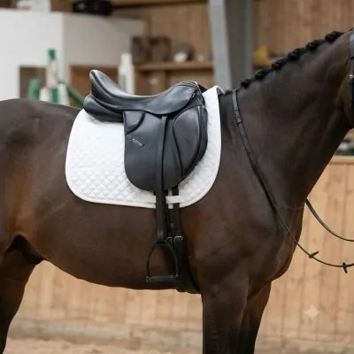 Leather Jumping Saddle | Modern Ciftlik