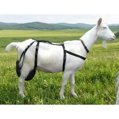 Ziege Bra | Modern Ciftlik