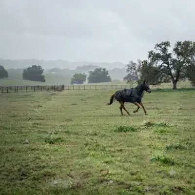Rain Blanket | Modern Ciftlik