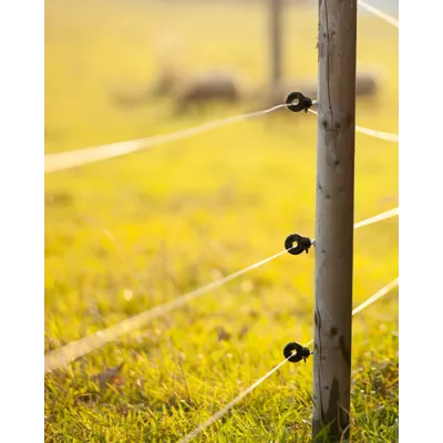 1000 meters of electric fence wire for pasture perimeter security.