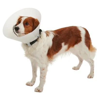 Curavet Elizabeth Köpek Yakalığı Transparan 15 cm Pet Yakalıkları FIONIAVET satın al