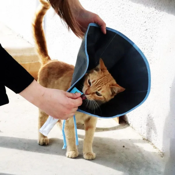 Economical Fabric Collar for Cats, 18 cm