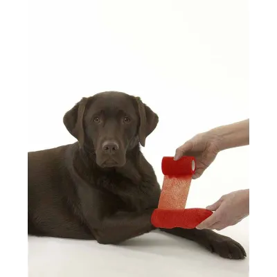 Öz-özünə yapışan sarğı 10 sm x 4.5 M - Qırmızı – Farmena