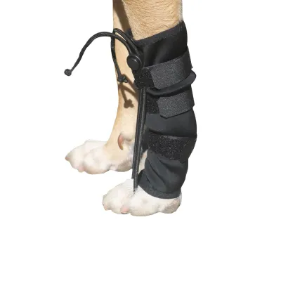 Köpək Ön Pəncə Düzləşdiricisi - XSmall – Farmena