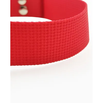 Tənzimlənən it yaxası bənövşəyi – Farmena