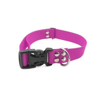 Comfortable adjustable purple dog collar set.