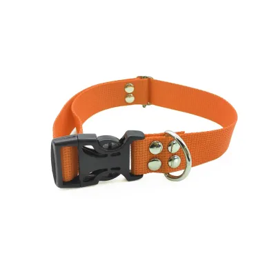 Tənzimlənən it yaxası bənövşəyi – Farmena