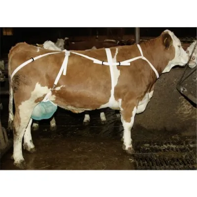 Böyük Döş Bra – Kerbl