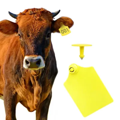 Büyükbas Hayvan Kulak Küpesi XL - Hemen Satin Al! | Modern Çiftlik