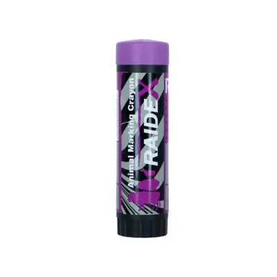 Original Raidex Purple Colored Pencils