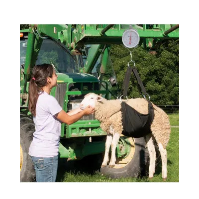 Large Size Sheep and Goat Weighing Rack