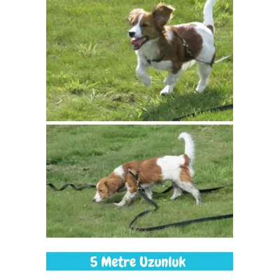 Təhlükəsiz və Rahat 5 Metrlik Pişik və İt Qayışı – 