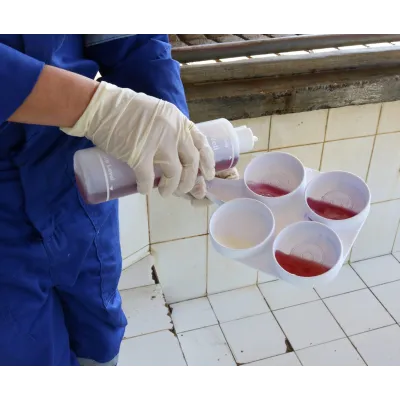 Mastitis test disc, white, economical pre-milking udder disease diagnostic tray.