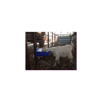  Oğlaklar İçin Otomatik Dil Basmalı Suluk