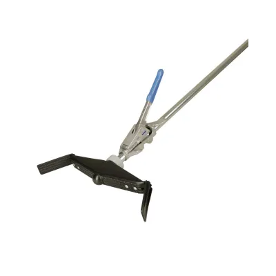 Dogum Krikosu Plastik Basli - Hemen Satin Al! | Modern Çiftlik