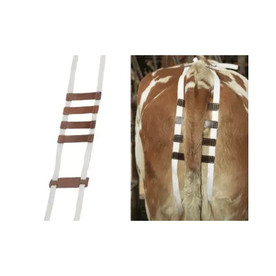 Prolapse bandage is a supportive bandage used in veterinary surgery.