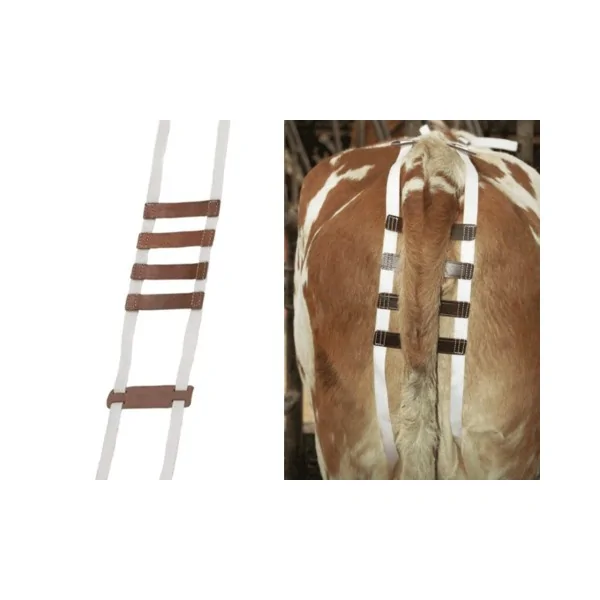 Prolapsverband