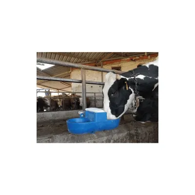 Double Cast Iron Cow Water Trough
