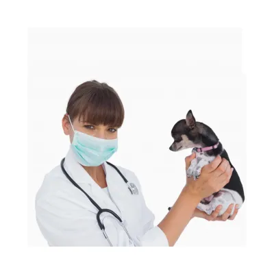 Elastik qayışlı cərrahi üz maskaları, 50 ədəd – Farmena