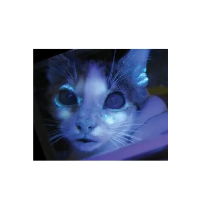 Kliniğe ve Hekime Özel Malzemeler – modernciftlik.com