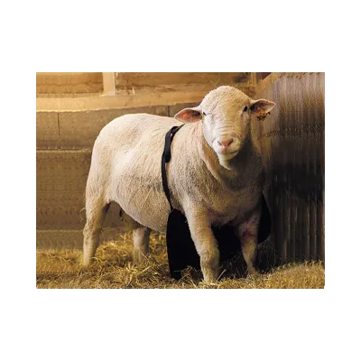 Asim Önleyici Önlük uzun - Hemen Satin Al! | Modern Çiftlik