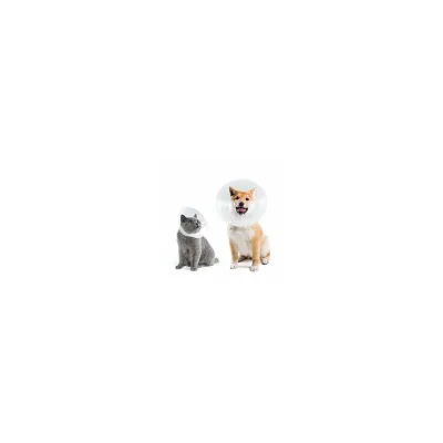 100 mm economical veterinary collar