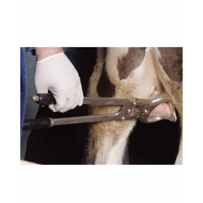 48 cm Burdizo Pensi Dana İçin