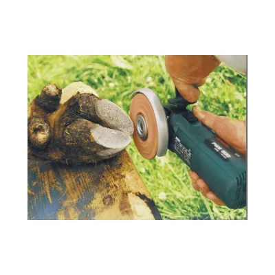 Orjinal Philipsen Tirnak Kesme Diski Profi 115 mm - Hemen Satin Al! | Modern Çiftlik