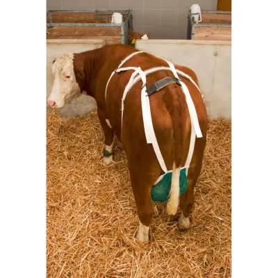 Böyük Döş Bra – Kerbl