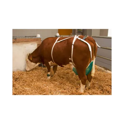 Böyük Döş Bra – Kerbl