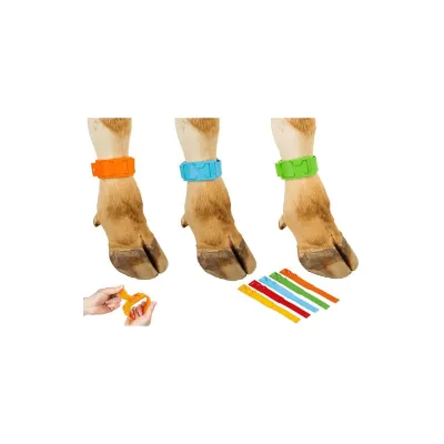 Hayvan Numaratörü Lazer Baskılı Adet Büyükbaş işaretleme malzemeleri Farmena satın al