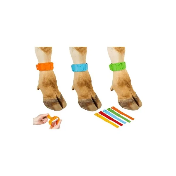 Cattle Foot Banding, German Made.