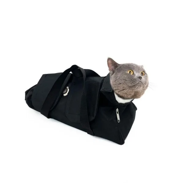 Pişik İynə Dəsti Orta