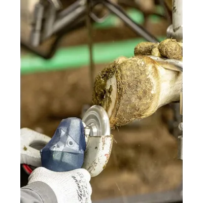 Alman istehsalı olan dırnaq qayçı diski, 6 diş. – Kerbl