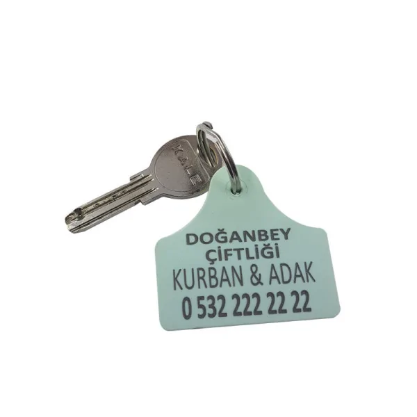 Sırğa Formalı Açarlıq