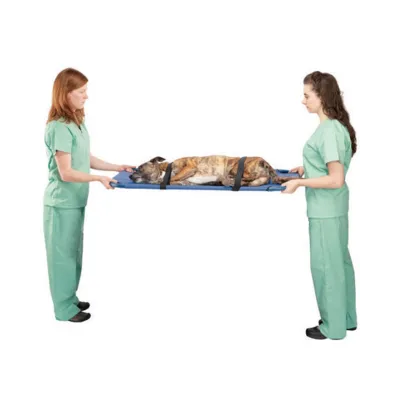 dog transport stretcher, transport and intervention stretcher for dogs