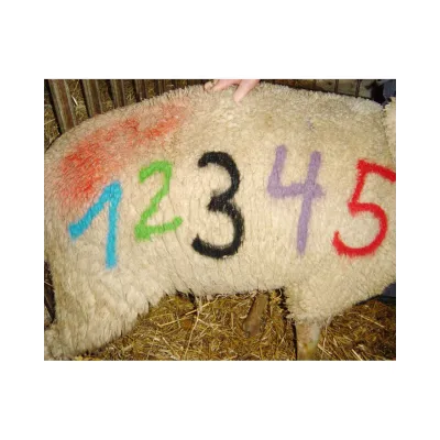 Uzun Model Sırğa – Farmena