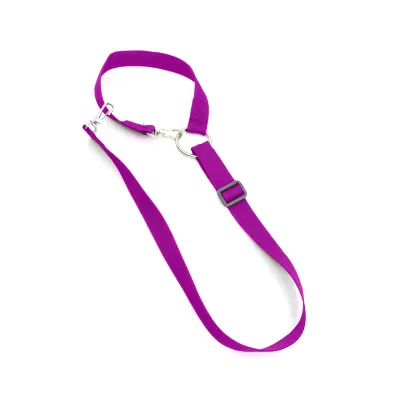 Purple pet safety harness that can be attached to the headrest.