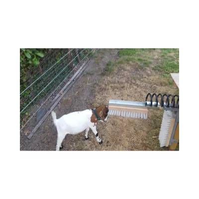 Kaşağılar – modernciftlik.com