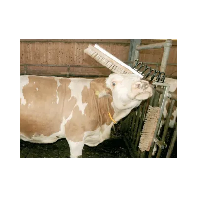 Sabit Kaşıma Fırçası Texas Model