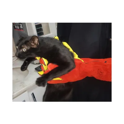 Cat Catching Glove 40 cm