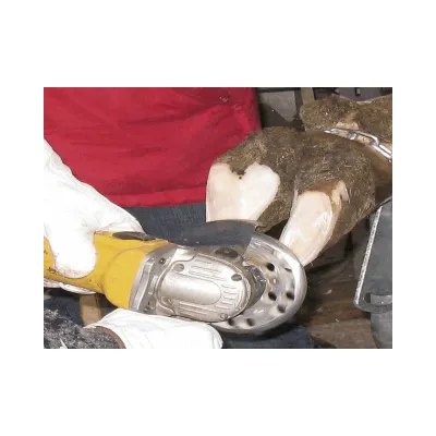 3-Blade Animal Hoof Trimming Disc
