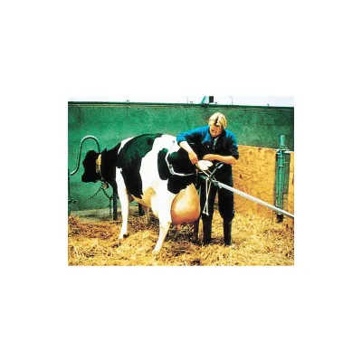 Vink Mechanism Long Birthing Jack 180 cm