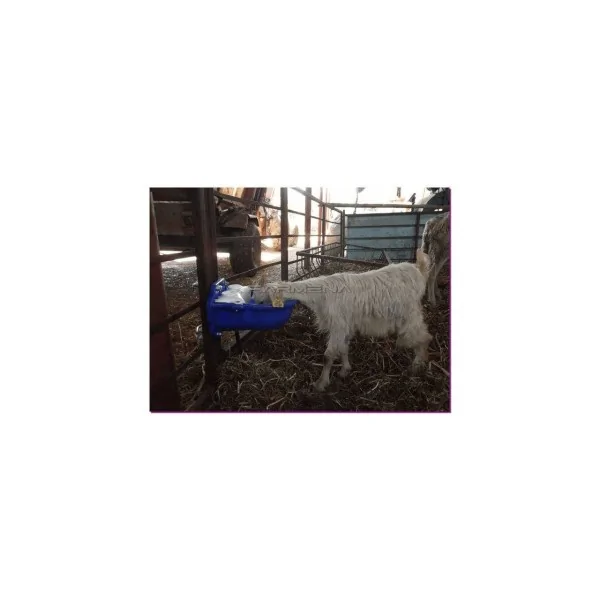 Automatic Goat Waterer