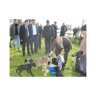  Otomatik Sokak Hayvanı Suluğu Çiftli