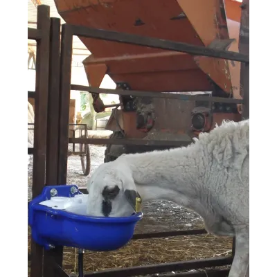 A non-tipping and easy-to-clean watering trough for small livestock, providing them with constant access to clean water.